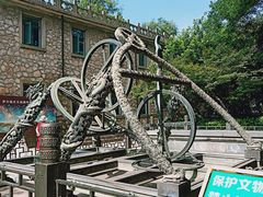 -紫金山天文台