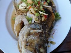 -Rimpa Lapin悬崖餐厅