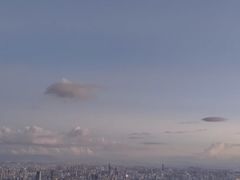 -长虫山生态公园风景林