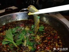 -靓蛙馆