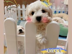 -喜家自助小火锅(乐客城店)