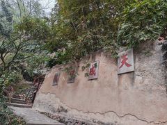 -武夷山风景名胜区-虎啸岩