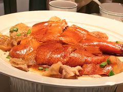 -新兴·金羊座·粤菜点心(乐峰店)