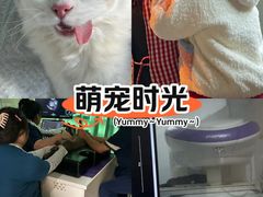 -康成宠物医院24H·CT·核磁共振