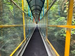 -七仙岭温泉国家森林公园