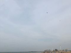 -拌来拌去石鍋拌飯(文鼎店)