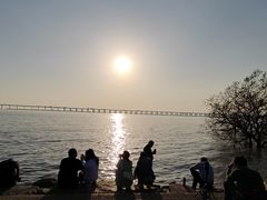 -宝安西湾红树林湿地公园