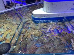 -澜悦港海鲜体验主题餐厅
