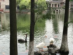 -东莞市可园博物馆