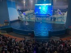 -福州罗源湾海洋世界旅游区