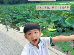 -青城公园