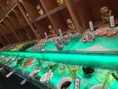 -松子料理(亮马桥店)