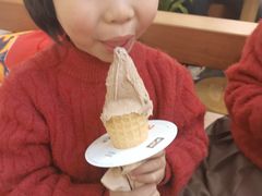 -野人先生Gelato(上海长宁龙之梦店)