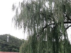 -辛安庄鸡鸣山景区