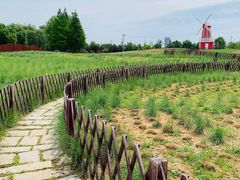 -羊亭河湿地公园