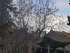 -大学习巷清真寺