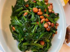 -真定郝家排骨(正定县总店)