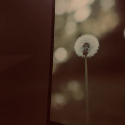 -时尚殿堂·颜SPA