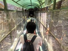 -灵栖洞天