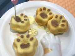 -喵屿·大理花园猫咖