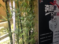 -六时安·熊猫张甜品店(东关街店)