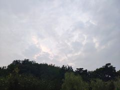 -山东理工大学