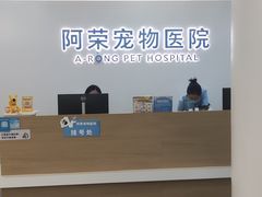 -阿荣24H宠物医院·综合型转诊中心·CT·核磁影像中心