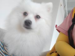 -怪兽屋·羊驼·猫咖·狗咖(俊华广场店)