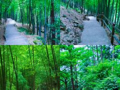 -藏龙百瀑风景区