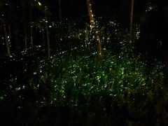-天目湖涵田度假村
