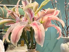 -南堂馆·新川菜(春熙路店)