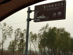 -白洋淀景区
