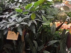 -汤山翠谷生态餐厅