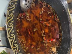 -金三可市井水煮鱼(金碧园店)