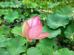 -贵阳蓬莱仙界