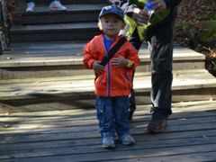 -五营红松林海景区