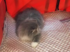 -太原茂业天地购物中心