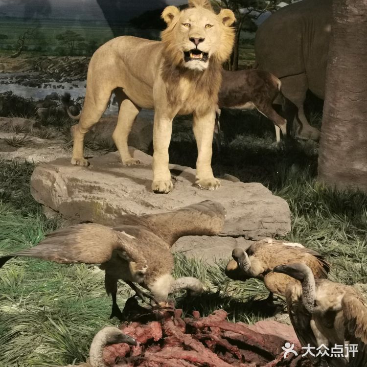 妈妈再也不用担心我五谷不分了
