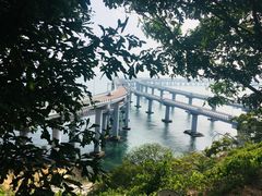 -星海湾跨海大桥
