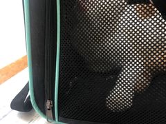 -美联众合动物医院·24h京西诊疗中心