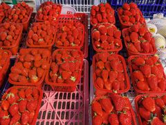 -雪绒花路停车场