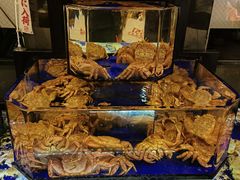 -蟹道乐(道顿堀本店)