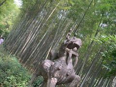 -西湖风景区十里琅珰-五云山