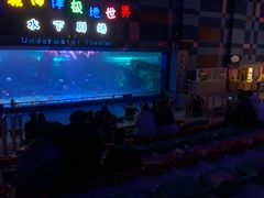 -泉城欧乐堡海洋极地世界