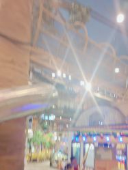 -卡通尼·Safari非洲探索乐园·生日会(金桥国际商业广场店)