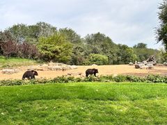 -北京野生动物园