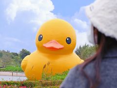 -深圳人才公园