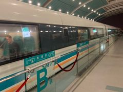 -龙阳路磁悬浮列车总站-停车场