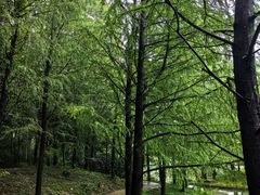 -河南省黄河迎宾馆