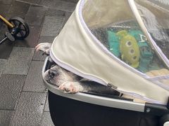 -比斯特上海购物村精品奥特莱斯